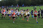 Boys Under-14s 2026 Northern Cross Country Relays, Graves Park, Sheffield. Photo: David T. Hewitson/Sports for All Pics